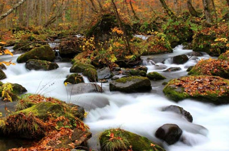 Oirase Gorge